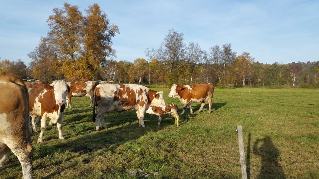 Ferienwohnung Sonnenhalde Illmensee 外观 照片